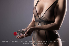 2023_01_27__18-35-47_CD__2114__DM9EE_morsecodeis