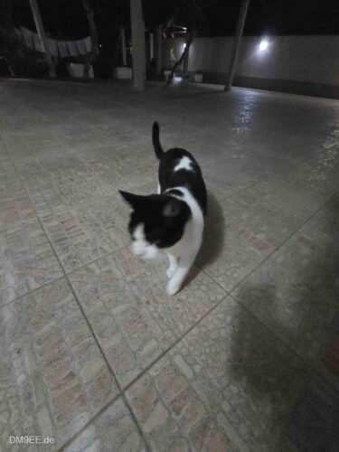 DM9EE-2025-10-14-20-50-51