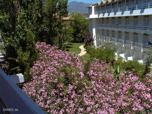 2004 07 06  10-39-11  0236