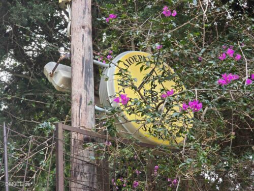 DM9EE-2026-01-03-13-07-25