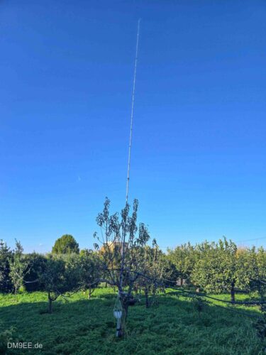 DM9EE-2025-12-28-12-00-36