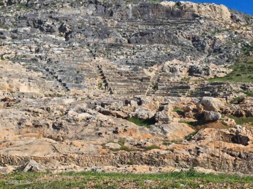 DM9EE-2025-12-29-12-15-42