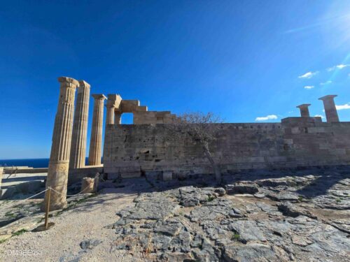 DM9EE-2025-12-29-12-52-08