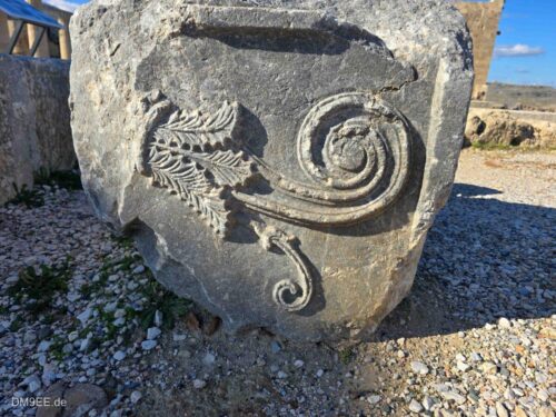 DM9EE-2025-12-29-13-01-33