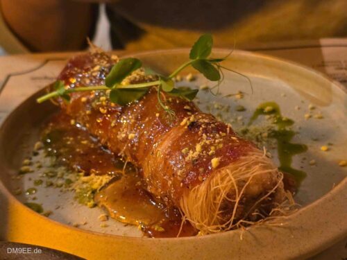 DM9EE-2026-01-01-19-58-33