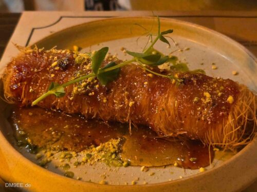 DM9EE-2026-01-01-19-59-37