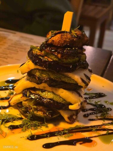 DM9EE-2026-01-01-20-14-43