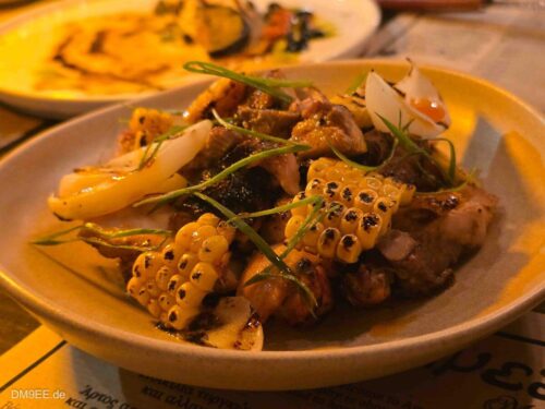 DM9EE-2026-01-01-20-17-44