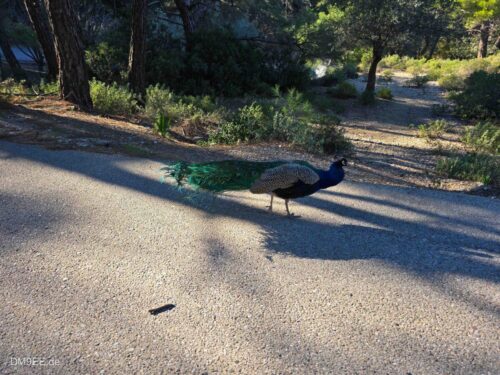 DM9EE-2026-01-02-14-42-19