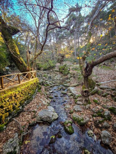 DM9EE-2026-01-02-14-49-27