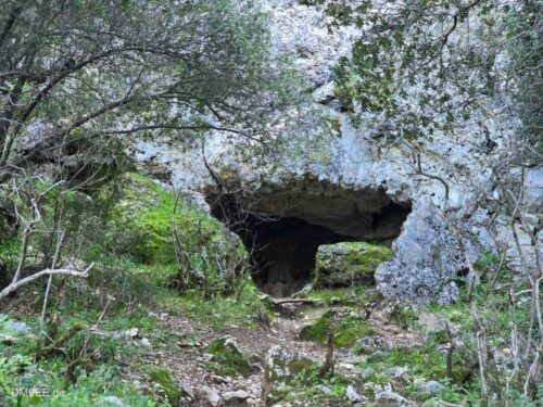 DM9EE-2026-01-02-15-16-11