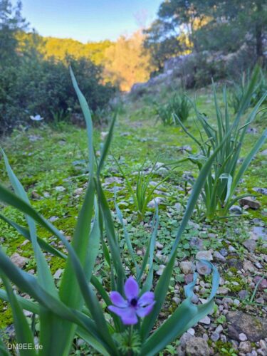 DM9EE-2026-01-02-15-16-30