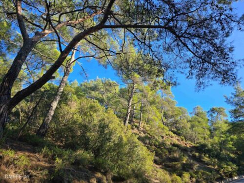 DM9EE-2026-01-02-15-26-19