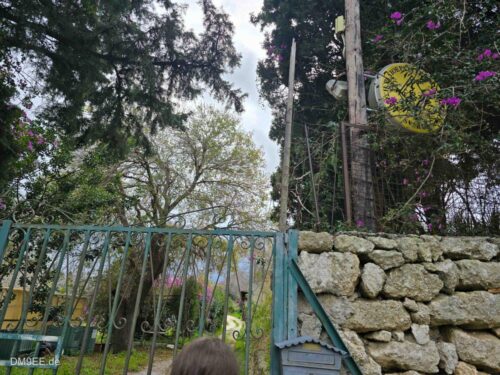 DM9EE-2026-01-03-13-07-21