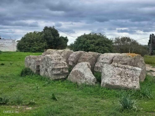 DM9EE-2026-01-03-13-14-54