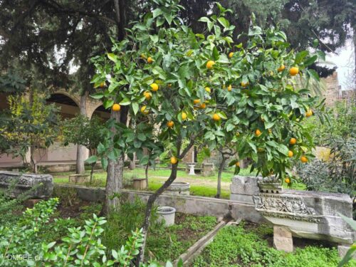 DM9EE-2026-01-04-12-58-16