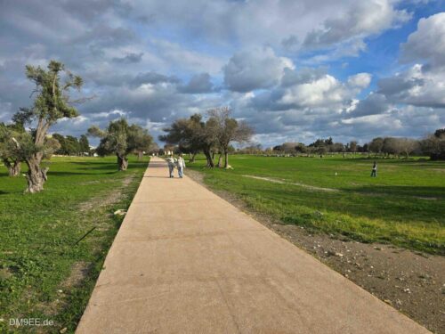 DM9EE-2026-01-04-15-02-42